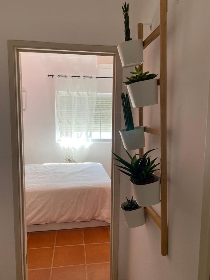 Apartamento Vicentino Vila Nova de Milfontes Exterior photo